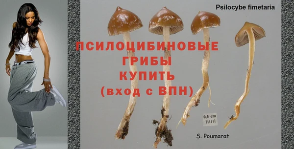 винт Богородицк