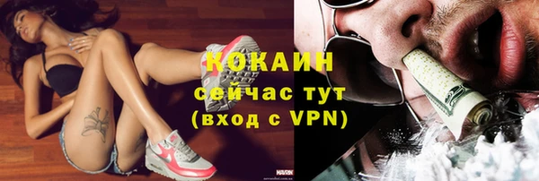 винт Богородицк