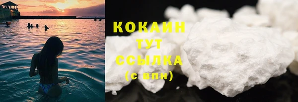 прущие грибы Богородск
