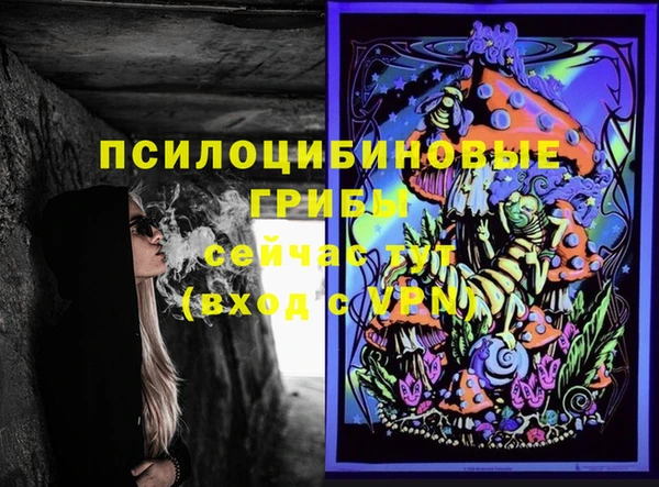 прущие грибы Богородск