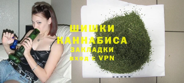 прущие грибы Богородск