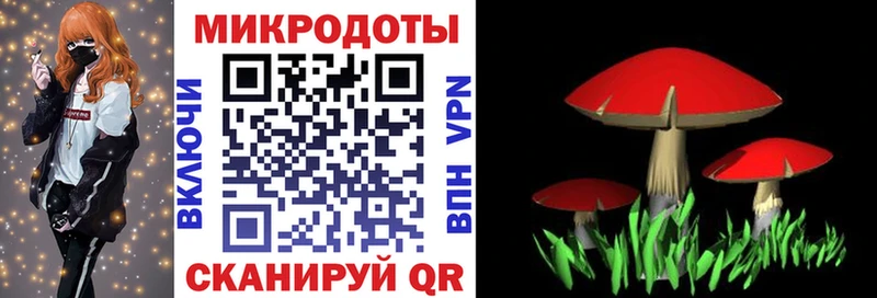 Псилоцибиновые грибы ЛСД  где продают   Маркс 