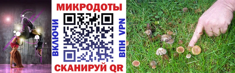 Галлюциногенные грибы ЛСД Маркс
